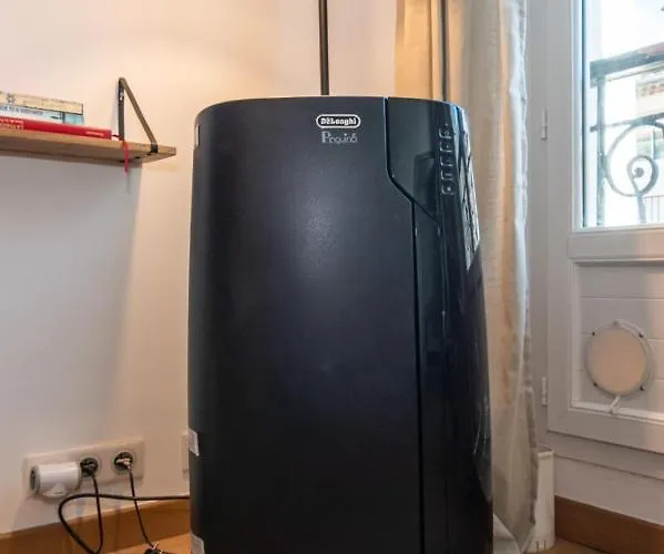 Clemenceau By Olam 3 Pcs Renove 2022